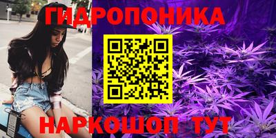 стафф Коммунар