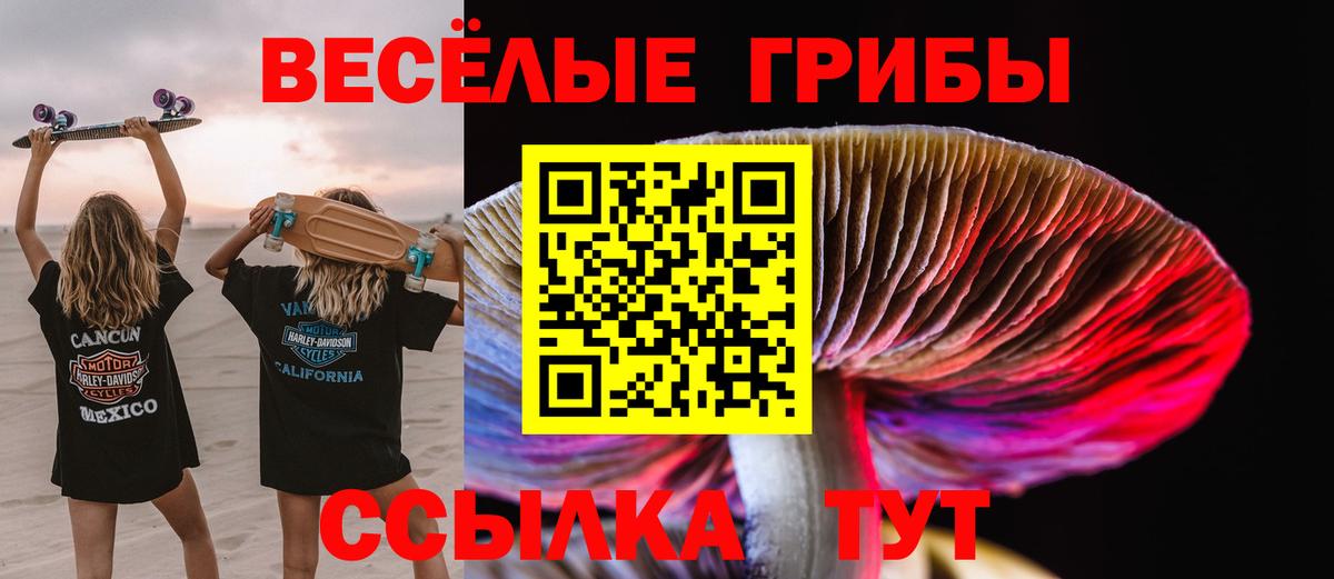 Галлюциногенные грибы мухоморы Кудрово